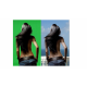 Chromakey-green Screen- Greenbox Yeşil Fon Perde(3x3 M)