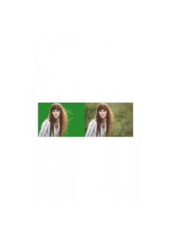 Chromakey-green Screen- Greenbox Yeşil Fon Perde(1.5x3 M)