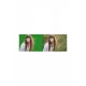 Chromakey-green Screen- Greenbox Yeşil Fon Perde(1.5x3 M)
