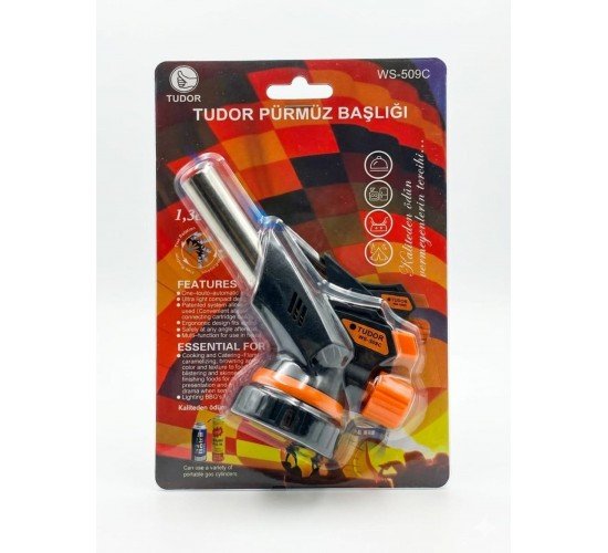TUDOR PÜRMÜZ BAŞLIĞI