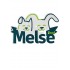 Melse