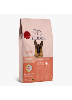 Teodor adult yetişkin köpek maması somonlu pirinçli yüksek enerjili 15 kg