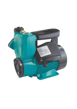 Duffmart QSM600 Kendinden Emişli Sıcak Soğuk Su Pompası