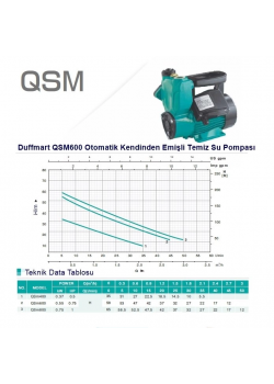 Duffmart QSM600 Kendinden Emişli Sıcak Soğuk Su Pompası
